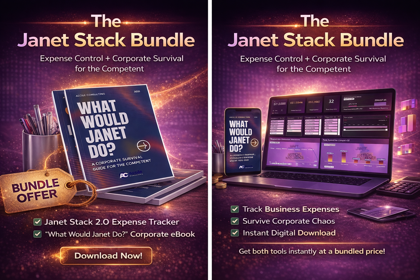 Janet Stack 2.0 Bundle - Expense Tracker Template + “What Would Janet Do?” eBook
